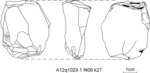L_W16d2501 A12q1029.01 N807 kf li f406 k27